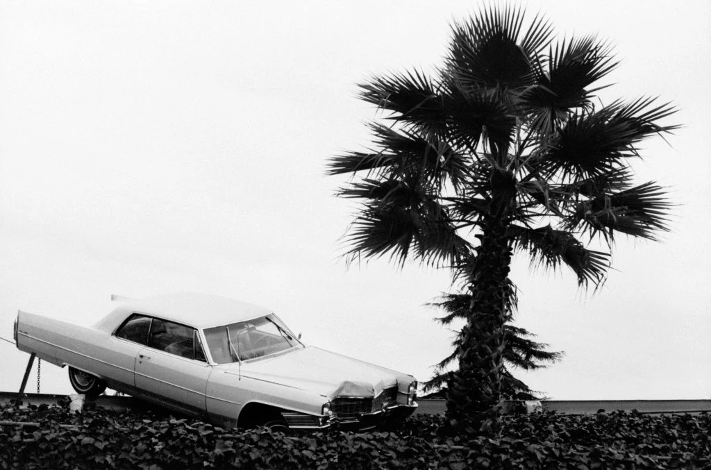 pat-oneill-los-angeles-1024x677